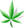Hemp Leaf with Shadow icon