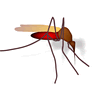 Mosquito with Shadow icon