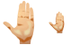 Palm icons