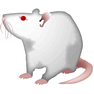 Rat icon