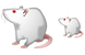 Rat icons