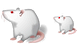 RatSH icons
