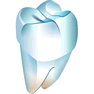 Tooth icon