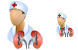 Urologist icons