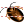 African cockroach icon