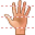 Palm icon