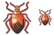Bug icons