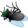 Dead Fly icon