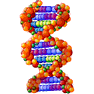 DNA icon
