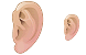 Ear ICO