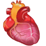 Heart icon