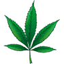 Hemp Leaf icon