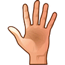 Palm icon