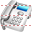 Phone icon
