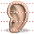 Ear SH icon
