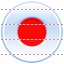 Record icon