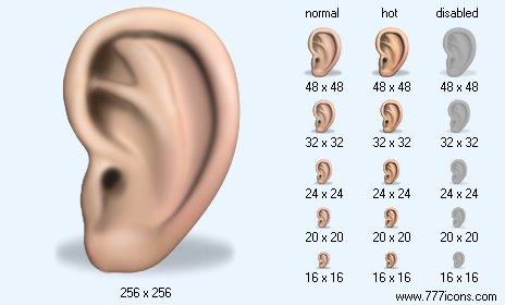 Ear with Shadow Icon Images