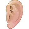 Ear icon