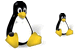 Linux penguin SH ICO