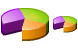 Pie chart v3 icon