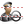 Driver SH icon