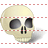 Skull SH icon