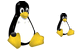 Linux penguin ico