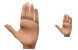 Palm icons