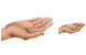 Petition icons