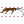 Cockroach icon