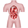 Anatomy icon