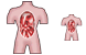 Anatomy icons