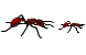 Ant icons