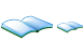 Book of record icons