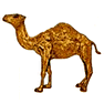 Camel icon