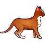 Cat icon