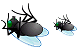 Dead fly icons