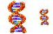 DNA icons