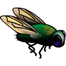 Fly icon