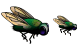 Fly icons