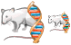 Genetics icons