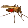 Mosquito icon