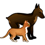 Pets icon