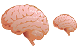 Brain icons