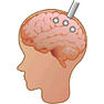 Brain Probe icon