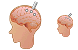 Brain probe icons