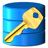 Database Security icon