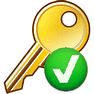 Valid Key icon