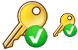 Valid key icons