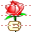 Rose icon